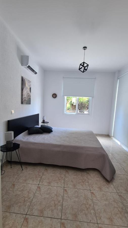 Laertis Apartments - By Imh Travel & Tours Paphos Exteriör bild
